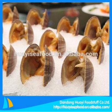 good quality frozen surf clam with low price